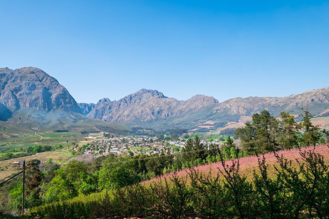 Farm Ranch in Brackenfell South, Cape Town, South Africa 5 - 15881667