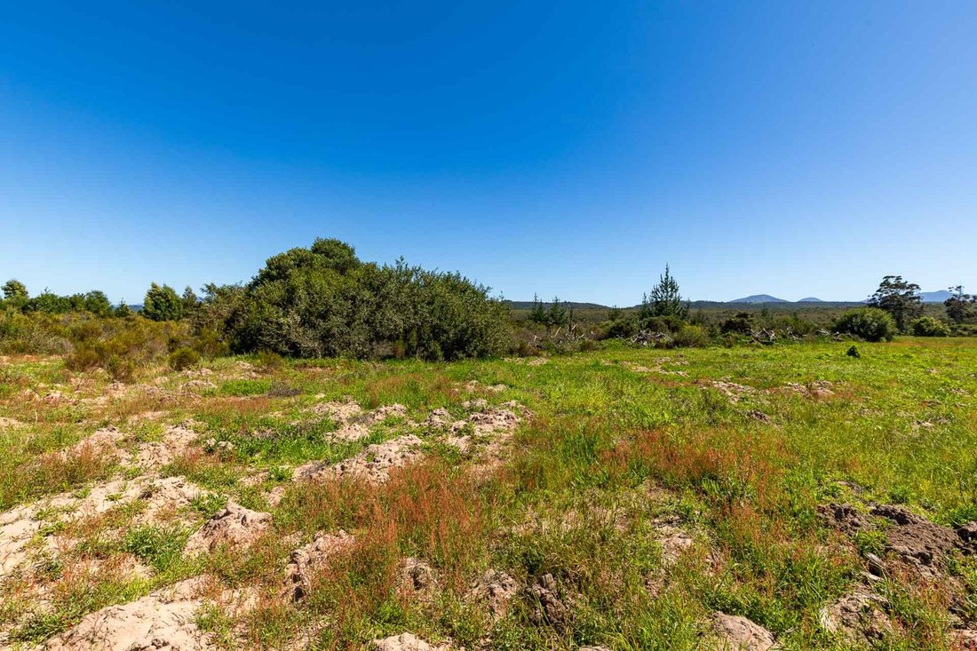 Land in Sedgefield, Western Cape, South Africa 5 - 15881745
