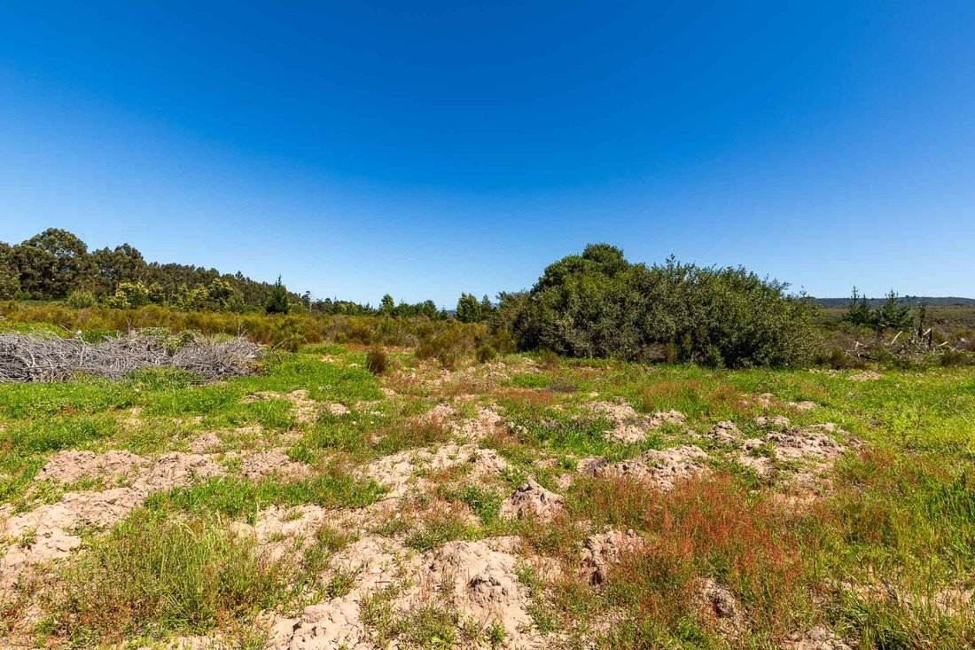 Land in Sedgefield, Western Cape, South Africa 4 - 15881745
