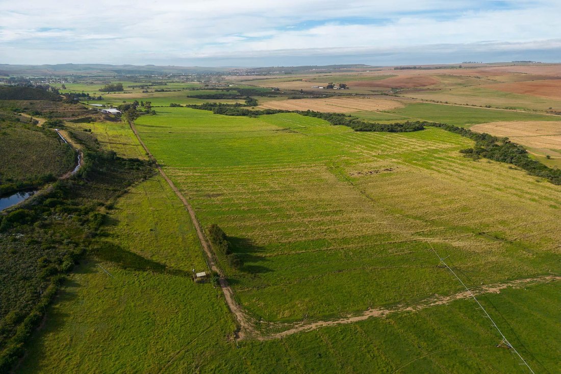 Farm Ranch in Hessequa Local Municipality, Western Cape, South Africa 5 - 15881708