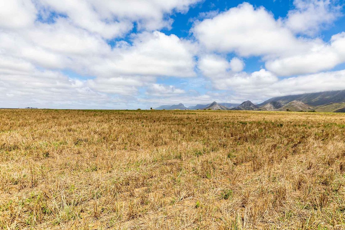 Farm Ranch in Albertinia, Western Cape, South Africa 3 - 15881681