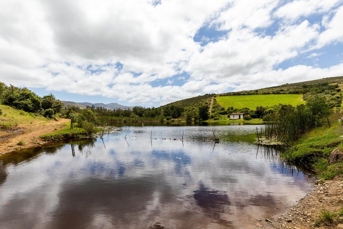 Farm Ranch in Albertinia, Western Cape, South Africa 1 - 15881681
