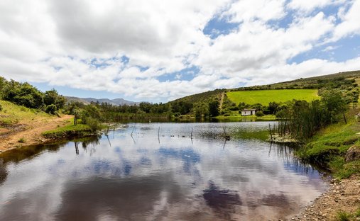 Farm Ranch in Albertinia, Western Cape, South Africa 1
