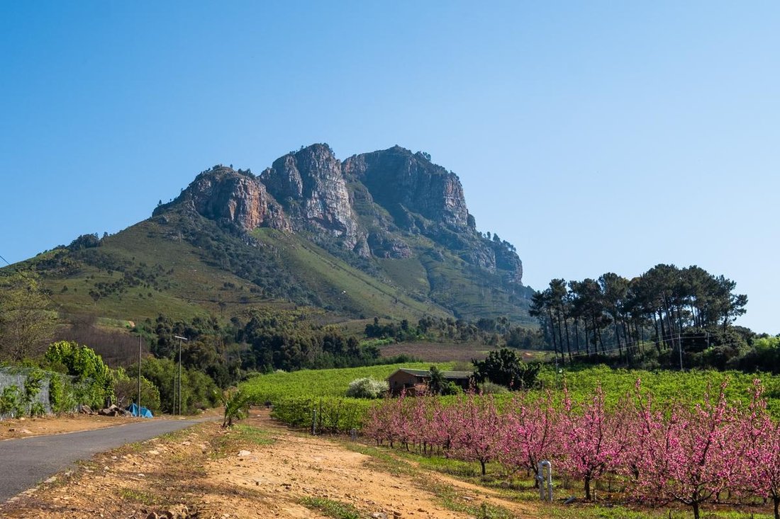 Farm Ranch in Brackenfell South, Cape Town, South Africa 1 - 15881667