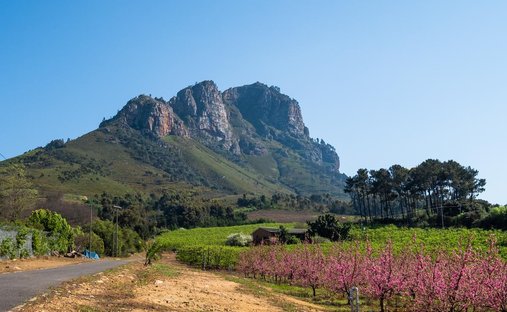 Farm Ranch in Brackenfell South, Cape Town, South Africa 1