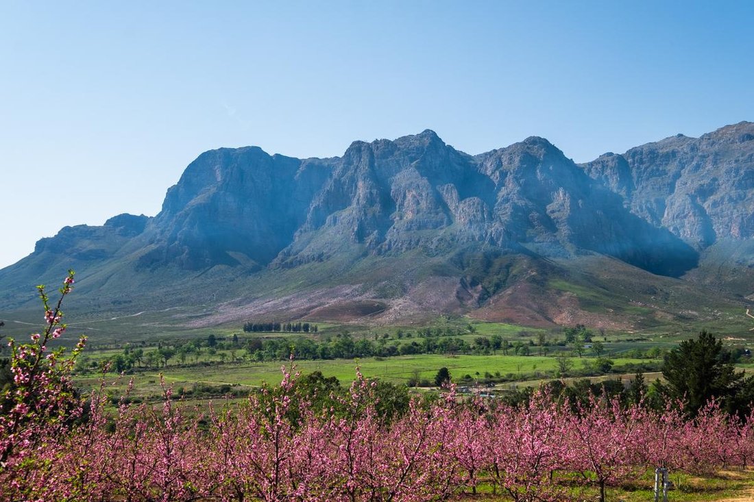 Farm Ranch in Brackenfell South, Cape Town, South Africa 4 - 15881667