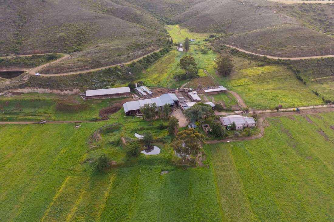 Farm Ranch in Hessequa Local Municipality, Western Cape, South Africa 1 - 15881708