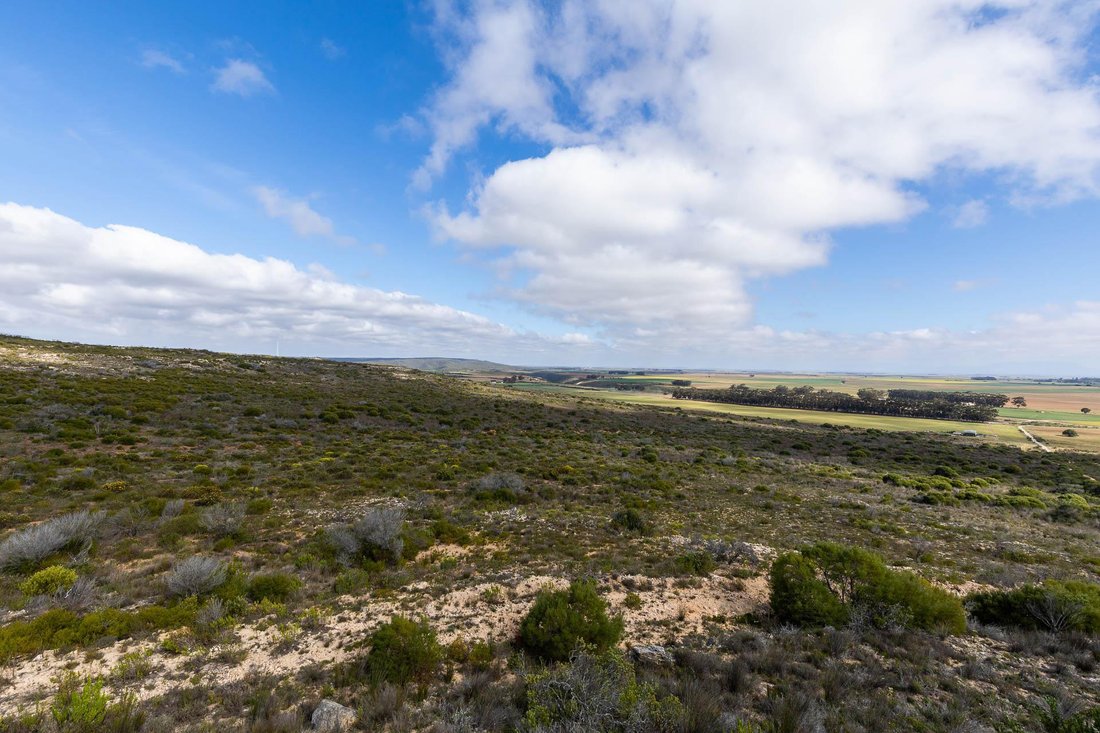 Farm Ranch in Vermaaklikheid, Western Cape, South Africa 5 - 15881685