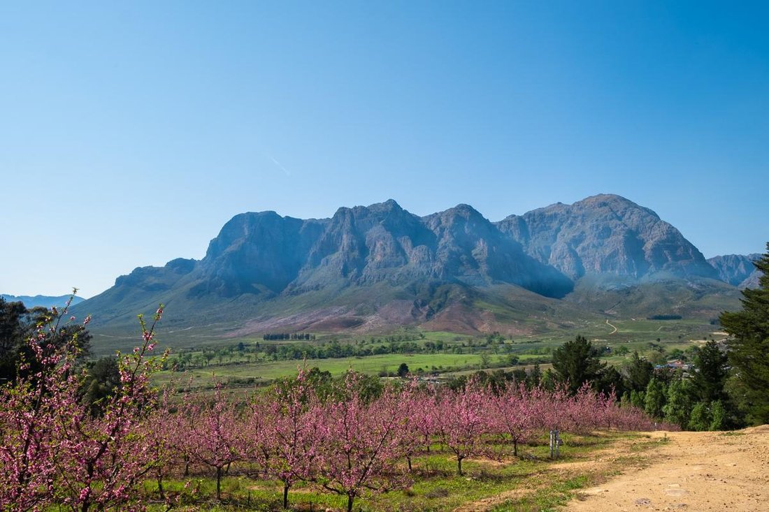 Farm Ranch in Brackenfell South, Cape Town, South Africa 3 - 15881667