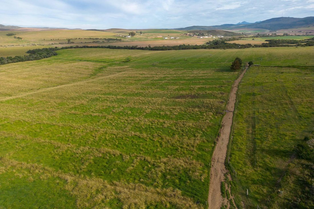 Farm Ranch in Hessequa Local Municipality, Western Cape, South Africa 2 - 15881708