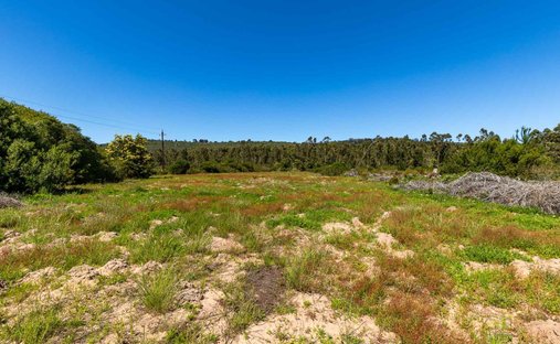 Land in Sedgefield, Westkap, Südafrika 1