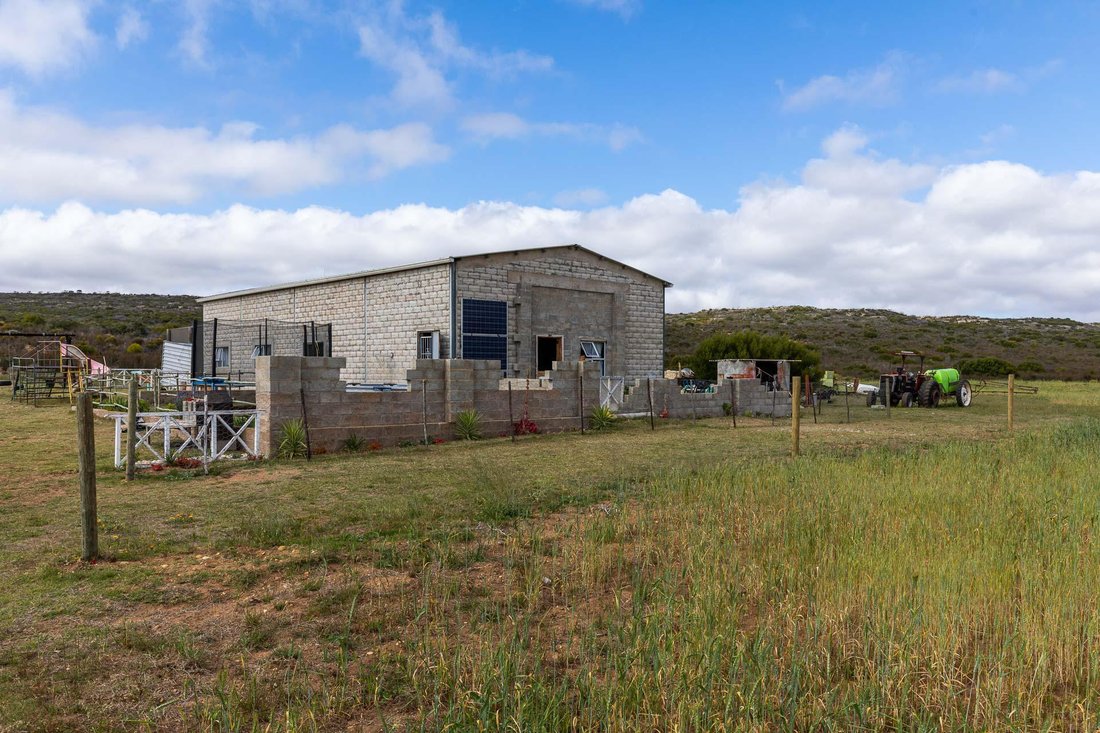 Farm Ranch in Vermaaklikheid, Western Cape, South Africa 3 - 15881685