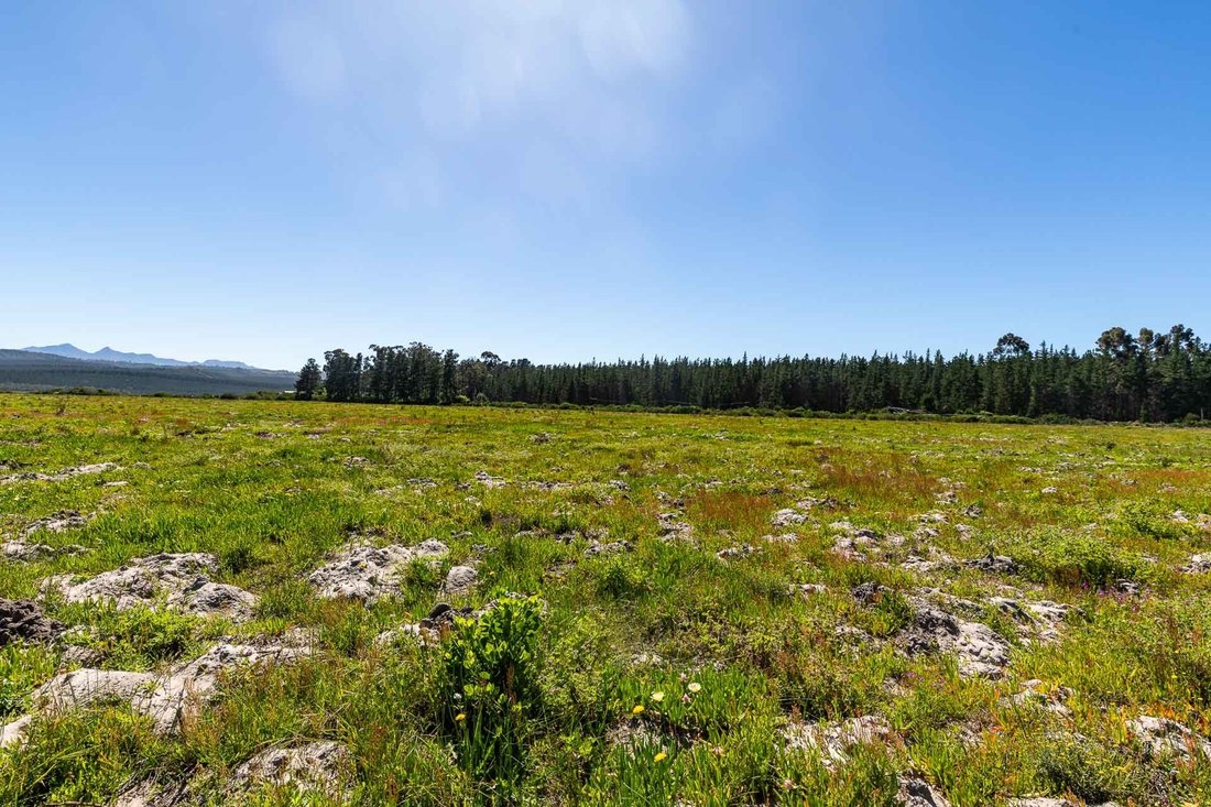 Land in Sedgefield, Western Cape, South Africa 5 - 15881743