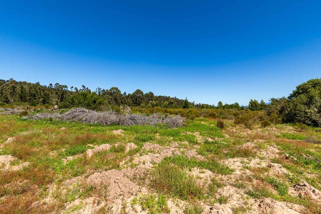 Land in Sedgefield, Western Cape, South Africa 3 - 15881745