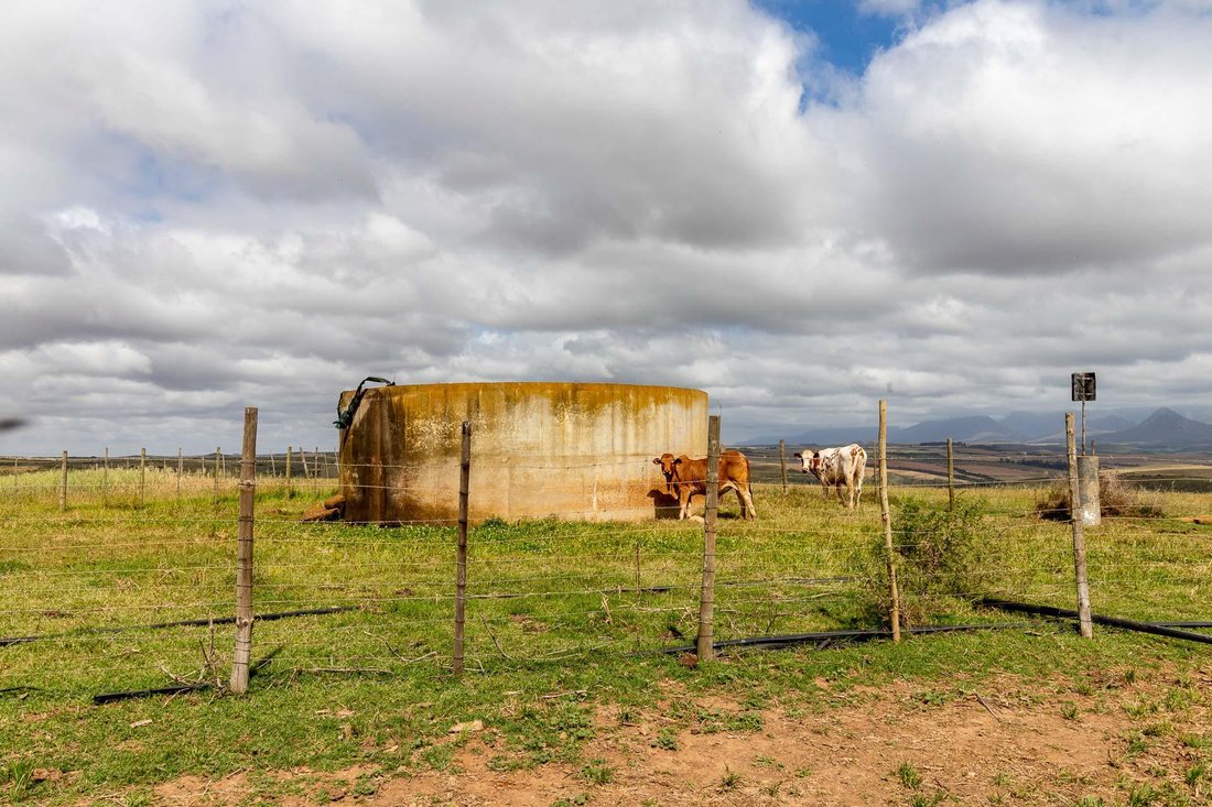 Farm Ranch in Albertinia, Western Cape, South Africa 5 - 15881680
