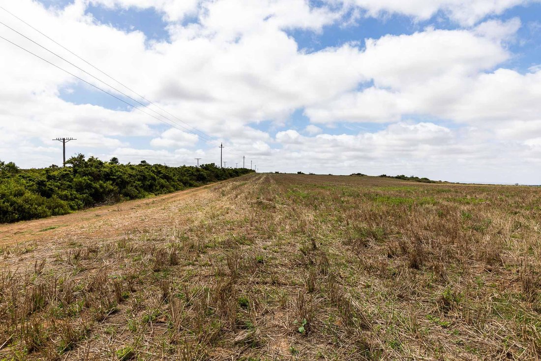 Farm Ranch in Albertinia, Western Cape, South Africa 5 - 15881681