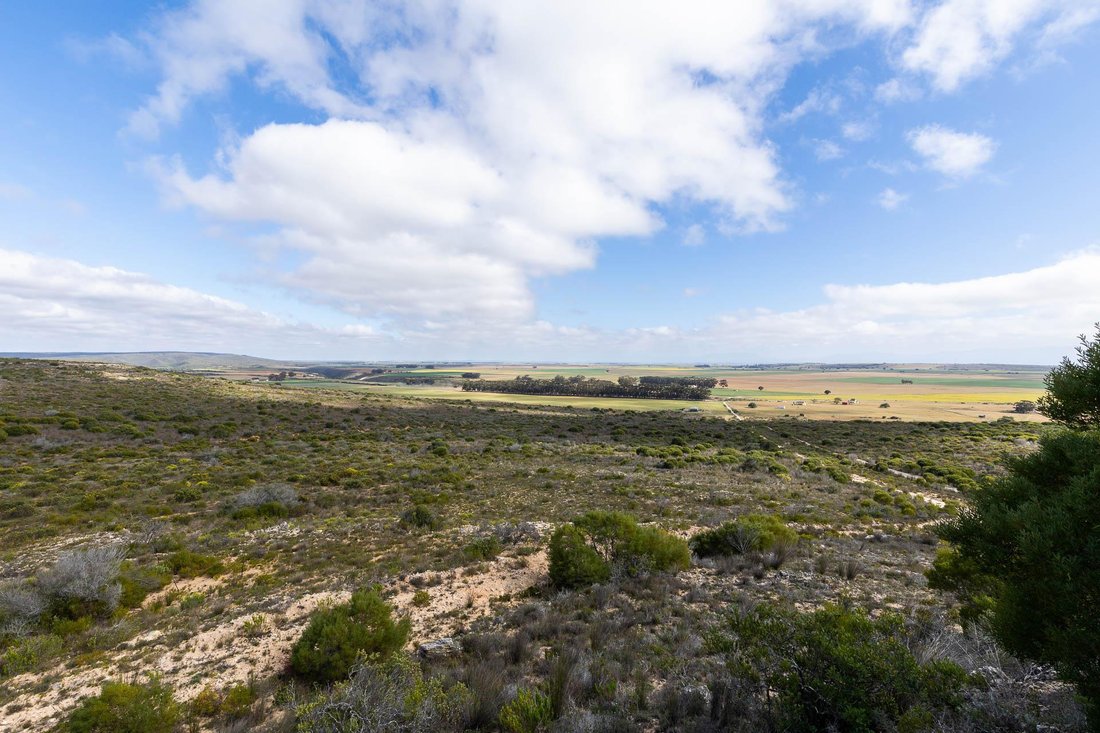 Farm Ranch in Vermaaklikheid, Western Cape, South Africa 4 - 15881685