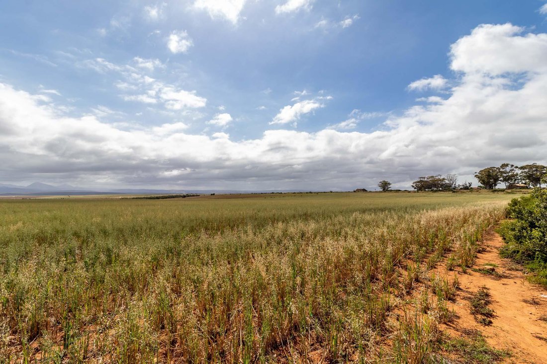 Farm Ranch in Albertinia, Western Cape, South Africa 1 - 15881680
