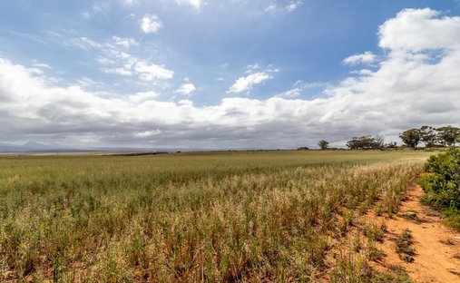 Farm Ranch in Albertinia, Western Cape, South Africa 1