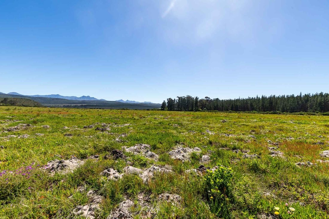 Land in Sedgefield, Western Cape, South Africa 4 - 15881743