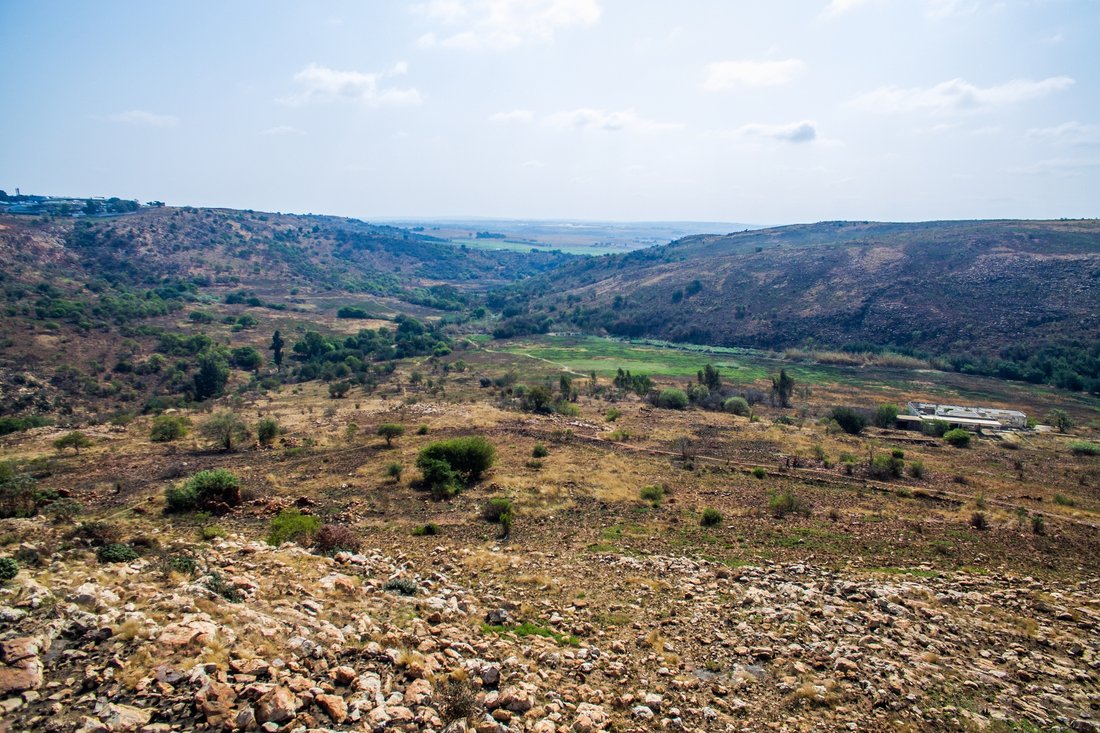 Terrain à Honingklip, Gauteng, Afrique du Sud 1 - 15881755