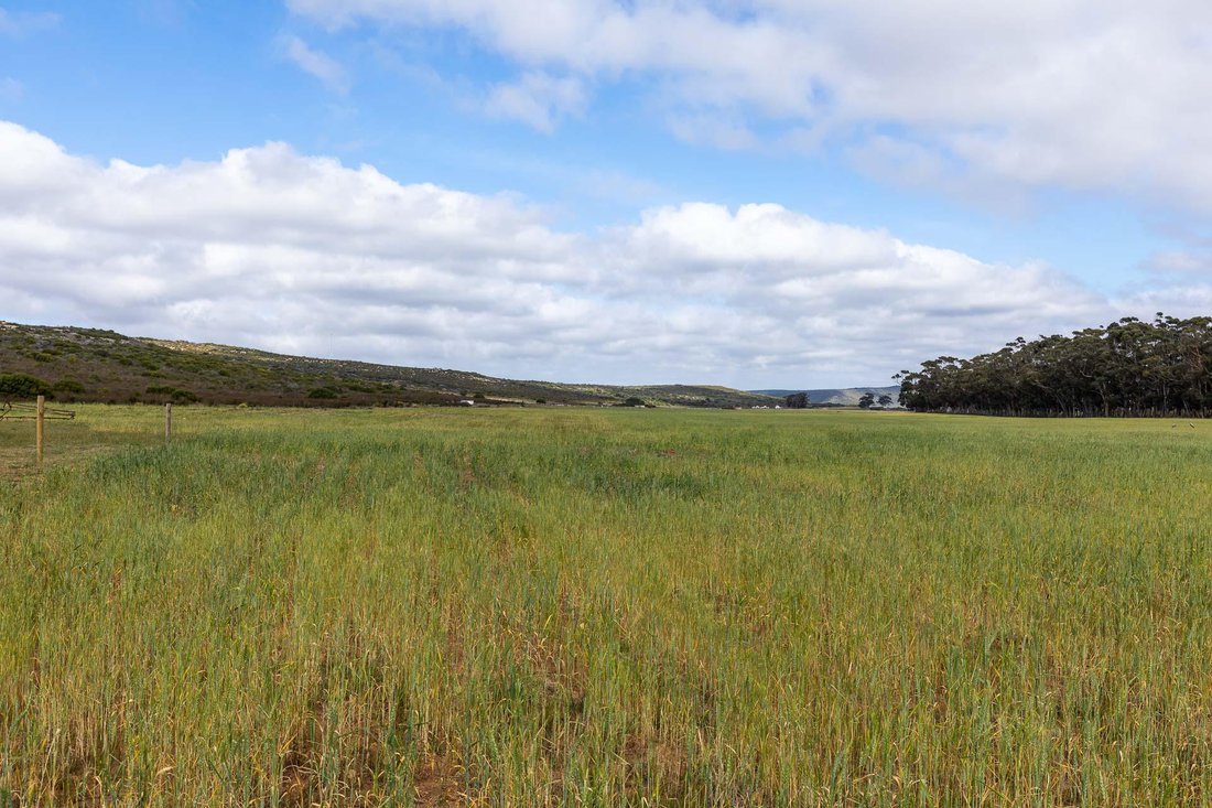 Farm Ranch in Vermaaklikheid, Western Cape, South Africa 1 - 15881685