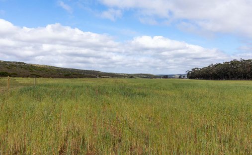 Farm Ranch in Vermaaklikheid, Western Cape, South Africa 1