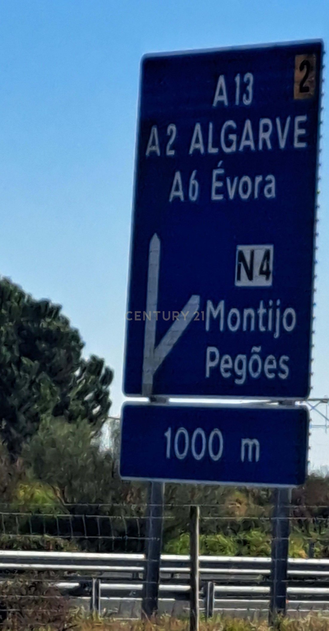Farm Ranch in Alcacer do Sal, Setubal, Portugal 5 - 12509647