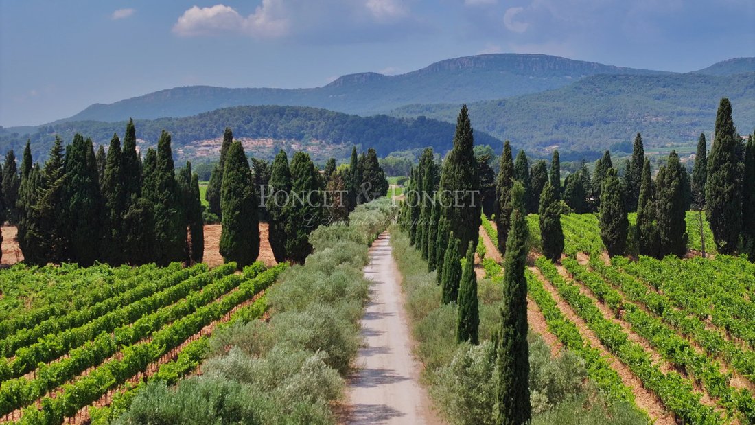 Farm Ranch in Hyeres, Provence-Alpes-Côte d'Azur, France 4 - 15594243
