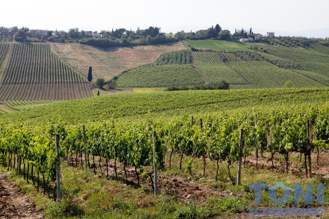 Bassa - Gavena - Pieve a Ripoli, Cerreto Guidi, Tuscany 5 - 15884105