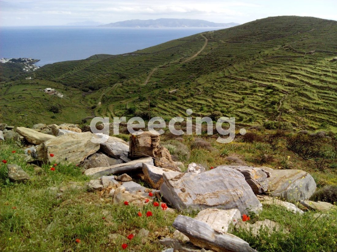 Land in Community of Dryopida, Aegean, Greece 5 - 15883505