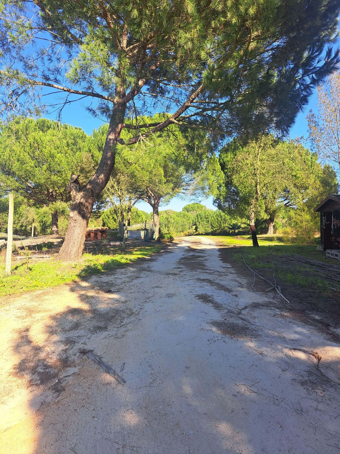 Farm Ranch in Alcacer do Sal, Setubal, Portugal 2 - 12509647
