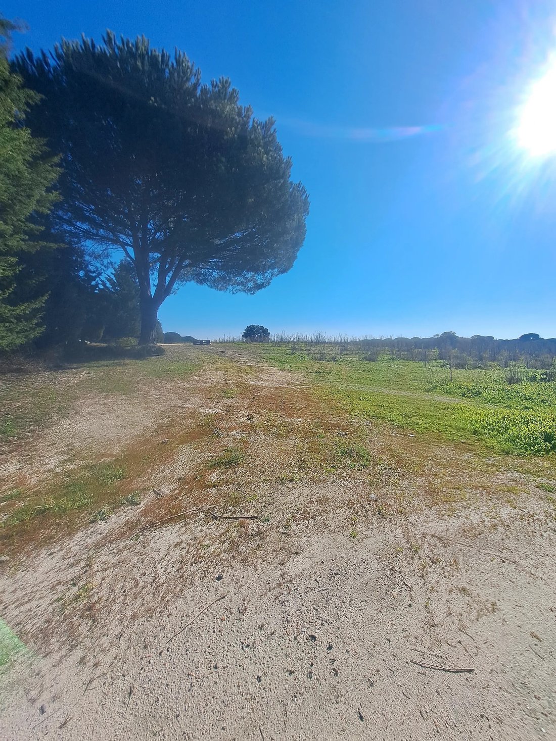Farm Ranch in Alcacer do Sal, Setubal, Portugal 1 - 12509647