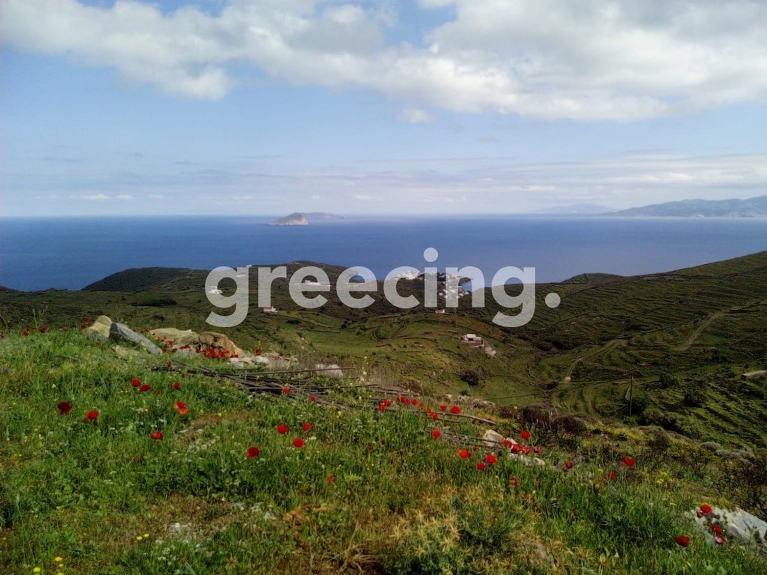 Land in Community of Dryopida, Aegean, Greece 2 - 15883505