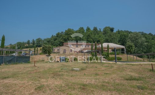 Estate in Monteleone d'Orvieto, Umbria, Italy 1