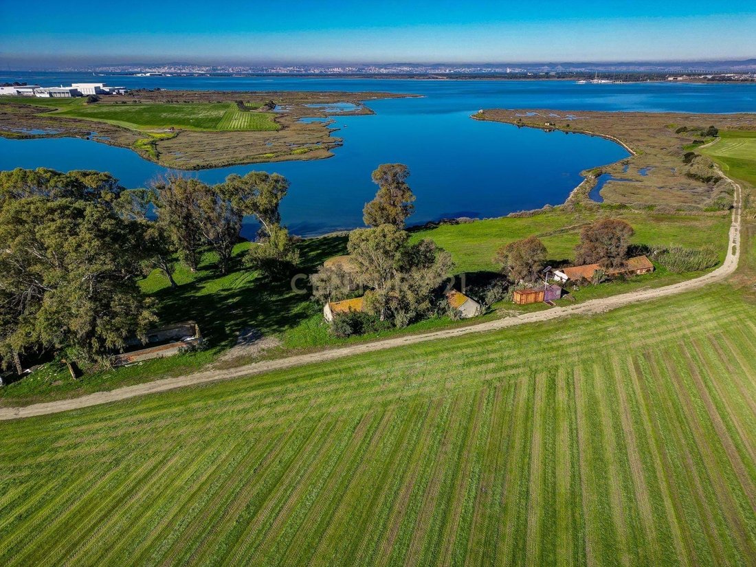 Farm Ranch in Gaio-Rosario e Sarilhos Pequenos, Setubal, Portugal 5 - 13765236