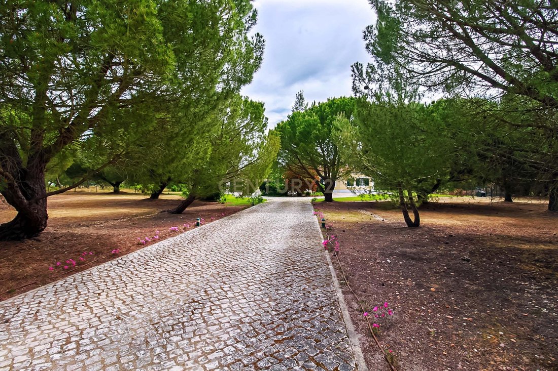 Villa in Santo Estevao, Santarem District, Portugal 4 - 13282308