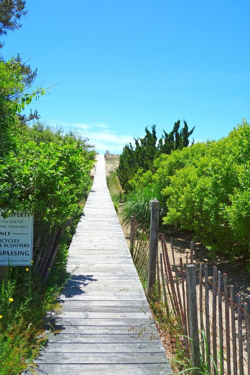 Amagansett, New York, United States 1 - 15879471