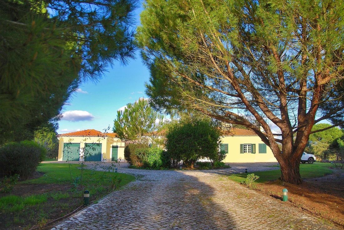 Villa in Santo Estevao, Santarem District, Portugal 5 - 13282308