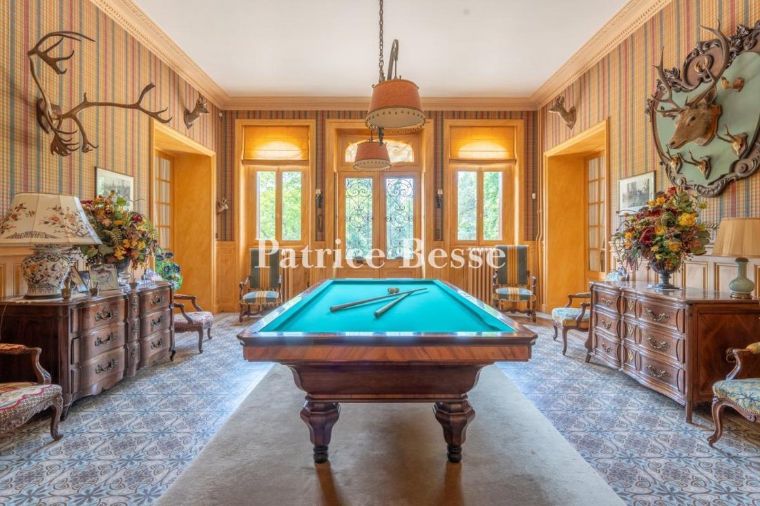 Whispers of the Past: A 19th-Century Château Between Time and Nature’s Embrace