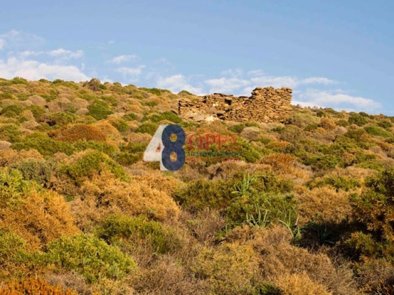 Land in Andros, Aegean, Greece 5 - 15882362