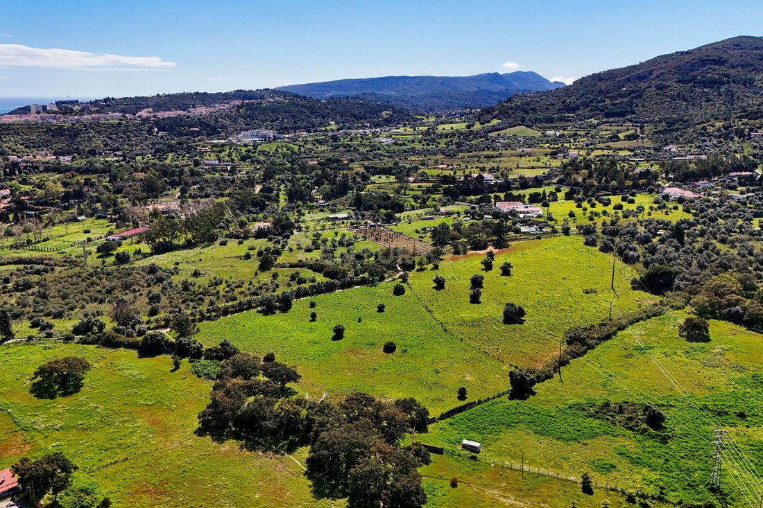 Land in Setubal, Setubal, Portugal 4 - 15450296