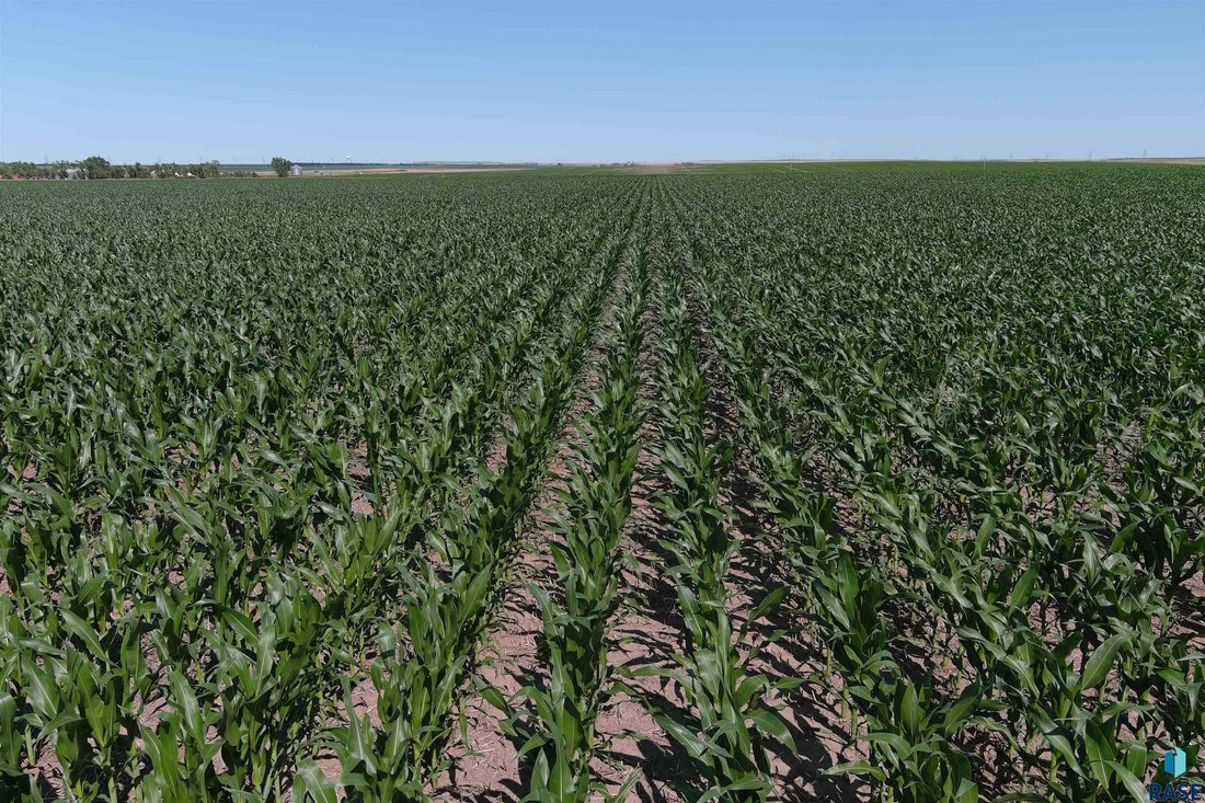Land in Pierre, South Dakota, United States 4 - 15872859