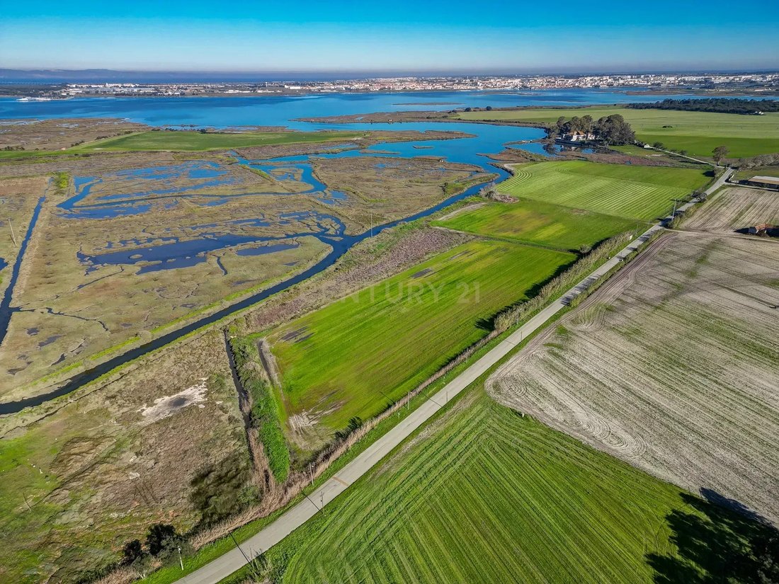 Land in Gaio-Rosario e Sarilhos Pequenos, Setubal, Portugal 5 - 13765259