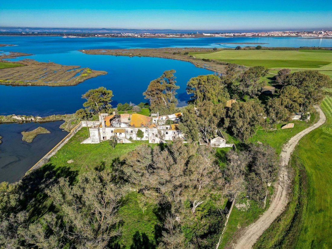 Farm Ranch in Gaio-Rosario e Sarilhos Pequenos, Setubal, Portugal 3 - 13765236