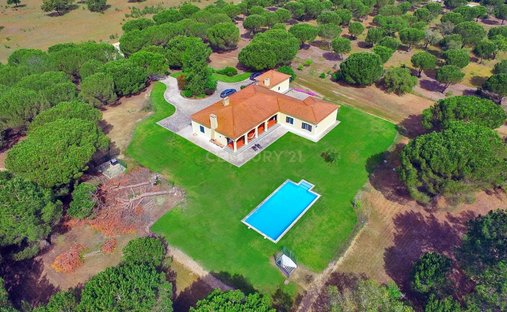 Villa in Santo Estevao, Santarem District, Portugal 1