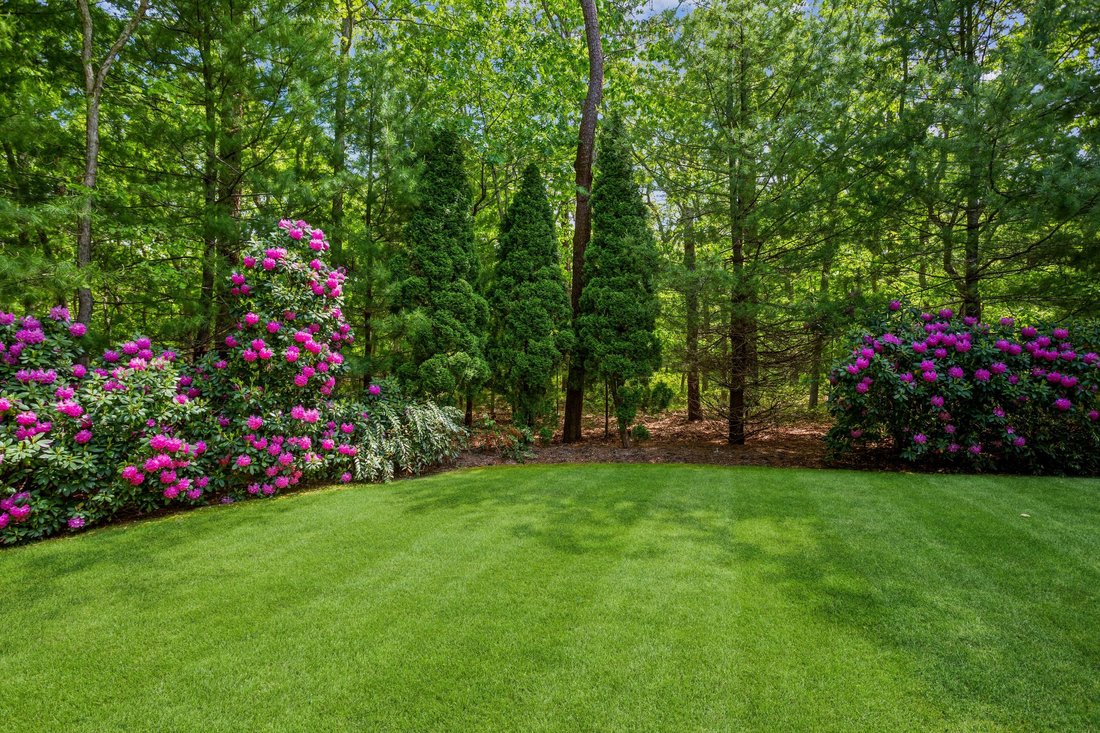 East Hampton, New York, United States 5 - 15884746