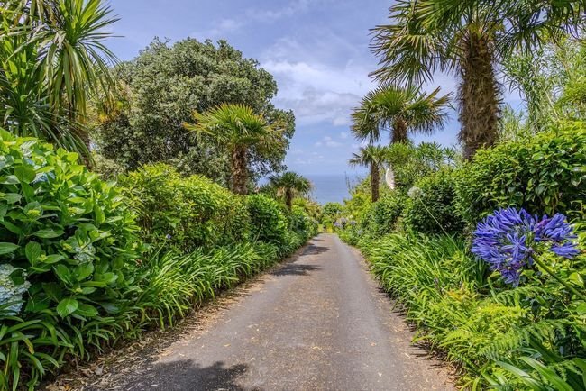 Estate in Mosteiros, Azores, Portugal 4 - 15883035