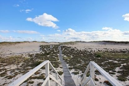 Southampton, New York, United States 2 - 15878305