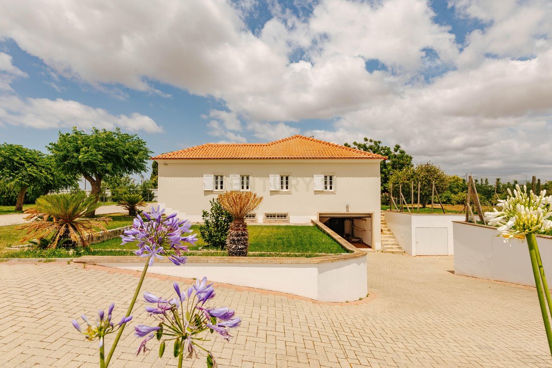 Villa in Moita, Portugal 5 - 15614367